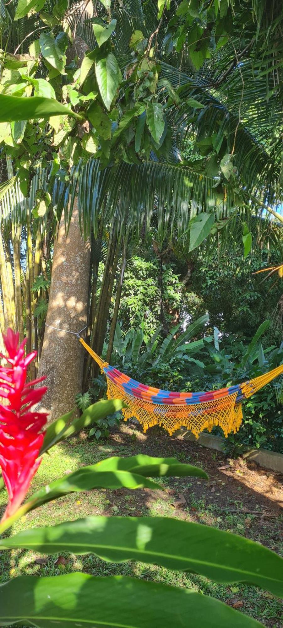 Gite Kaz A Topaze, Piscine, Jardin Tropical Sainte-Rose Ngoại thất bức ảnh